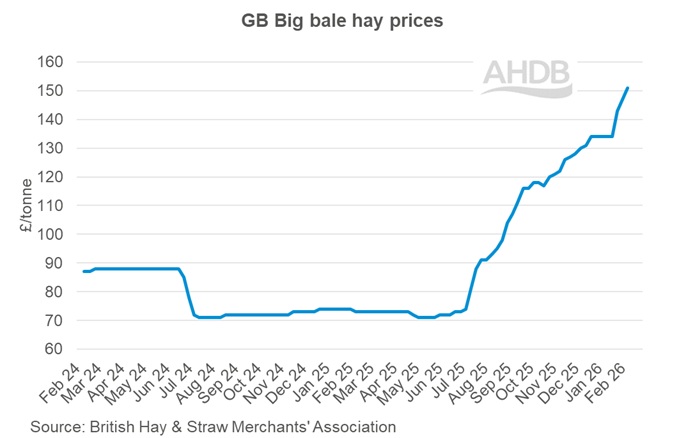 Line graph showing GB big bale hay weekly prices 8 February 2026.